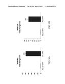 MATERIALS AND METHODS FOR PROFILING MICRORNAS diagram and image