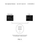 Methods of Detecting Neurological or Neuropsychiatric Diseases or     Conditions diagram and image