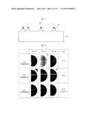 SILICON SINGLE CRYSTAL INGOT AND WAFER FOR SEMICONDUCTOR diagram and image