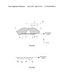 SURFACE LIGHT SOURCE APPARATUS diagram and image