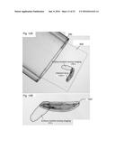 Multiview Light-Sheet Microscopy diagram and image