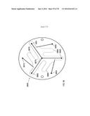 BACKFLUSH METHODS AND DEVICES FOR CHROMATOGRAPHY diagram and image