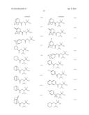 SHRINK MATERIAL AND PATTERN FORMING PROCESS diagram and image