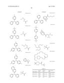 SHRINK MATERIAL AND PATTERN FORMING PROCESS diagram and image