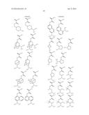 SHRINK MATERIAL AND PATTERN FORMING PROCESS diagram and image