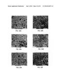 Porous Silicon Oxide (SiO) Anode Enabled by a Conductive Polymer Binder     and Performance Enhancement by Stabilized Lithium Metal Power (SLMP) diagram and image