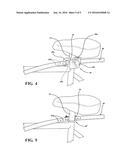 Bike-Attached Dog Tether diagram and image