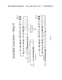 ANIMAL MODELS AND THERAPEUTIC MOLECULES diagram and image