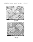 PROCESSING BIOMASS diagram and image