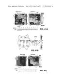 SYSTEM AND METHOD FOR TARGETING HEART RHYTHM DISORDERS USING SHAPED     ABLATION diagram and image