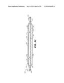 MODULAR APPARATUS FOR THERAPY OF AN ANIMATE BODY diagram and image