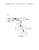 NANOEMULSIONS OF HYDROPHOBIC PLATINUM DERIVATIVES diagram and image