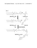 NANOEMULSIONS OF HYDROPHOBIC PLATINUM DERIVATIVES diagram and image