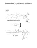 NANOEMULSIONS OF HYDROPHOBIC PLATINUM DERIVATIVES diagram and image