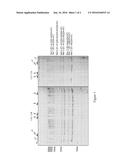 CHEMICAL MOLECULES THAT INHIBIT THE SLICING MECHANISM FOR TREATING     DISEASES RESULTING FROM SPLICING ANOMALIES diagram and image