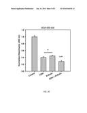 COMBINATION THERAPY FOR THE TREATMENT OF CANCER diagram and image