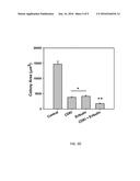 COMBINATION THERAPY FOR THE TREATMENT OF CANCER diagram and image