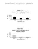 PHOSPHORAMIDATE DERIVATIVES OF 5 - FLUORO - 2` - DEOXYURIDINE FOR USE IN     THE TREATMENT OF CANCER diagram and image