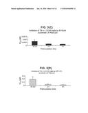 PHOSPHORAMIDATE DERIVATIVES OF 5 - FLUORO - 2` - DEOXYURIDINE FOR USE IN     THE TREATMENT OF CANCER diagram and image