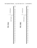 PHOSPHORAMIDATE DERIVATIVES OF 5 - FLUORO - 2` - DEOXYURIDINE FOR USE IN     THE TREATMENT OF CANCER diagram and image