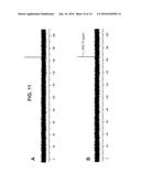 PHOSPHORAMIDATE DERIVATIVES OF 5 - FLUORO - 2` - DEOXYURIDINE FOR USE IN     THE TREATMENT OF CANCER diagram and image