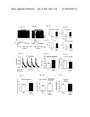 Thiol-Sensitive Positive Inotropes diagram and image