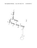 Cycloalkyne Derivatized Saccharides diagram and image