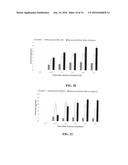 METHODS OF INTERCELLULAR AND INTRACELLULAR DELIVERY SUBSTANCES     ENCAPSULATED IN A DELIVERY VEHICLE diagram and image