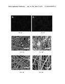 AIR FILTER FOR HIGH-EFFICIENCY PM2.5 CAPTURE diagram and image