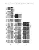 AIR FILTER FOR HIGH-EFFICIENCY PM2.5 CAPTURE diagram and image