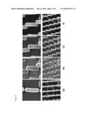 IMPROVED REVERSIBLE ADHESIVES AND METHODS OF FORMING THE SAME diagram and image