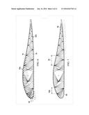 WING AIRFOIL STIFFENING FOR SOLAR POWERED AIRCRAFT diagram and image