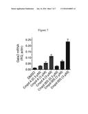 PIPERIDINE DERIVATIVES AS HDAC1/2 INHIBITORS diagram and image