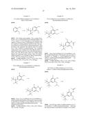 PROCESS FOR THE PREPARATION OF AMIDES FROM HINDERED ANILINES CONTAINING A     PERHALOALKYL GROUP diagram and image