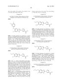 BENZOIMIDAZOLES AS PROLYL HYDROXYLASE INHIBITORS diagram and image