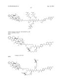 Conjugates Containing Hydrophilic Spacer Linkers diagram and image