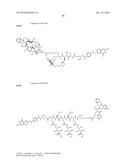 Conjugates Containing Hydrophilic Spacer Linkers diagram and image