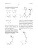 Conjugates Containing Hydrophilic Spacer Linkers diagram and image