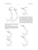 Conjugates Containing Hydrophilic Spacer Linkers diagram and image