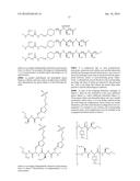 Conjugates Containing Hydrophilic Spacer Linkers diagram and image