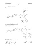 Conjugates Containing Hydrophilic Spacer Linkers diagram and image