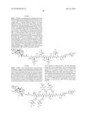 Conjugates Containing Hydrophilic Spacer Linkers diagram and image