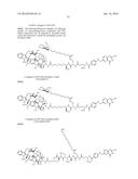 Conjugates Containing Hydrophilic Spacer Linkers diagram and image