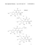 METHODS OF PREPARING NICOTINAMIDE RIBOSIDE AND DERIVATIVES THEREOF diagram and image