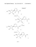 METHODS OF PREPARING NICOTINAMIDE RIBOSIDE AND DERIVATIVES THEREOF diagram and image