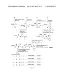 OLIGOPEPTIDES AND PROCESS FOR PREPARATION THEREOF diagram and image