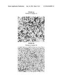 SPHEROIDAL CATALYST FOR OLEFIN POLYMERIZATION diagram and image