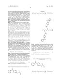 HYDROPHILIC GELS DERIVED FROM GRAFTED PHOTOINITIATORS diagram and image