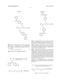 HYDROPHILIC GELS DERIVED FROM GRAFTED PHOTOINITIATORS diagram and image