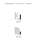 ISOLATION, EXPANSION AND USE OF CLONOGENIC ENDOTHELIAL PROGENITOR CELLS diagram and image